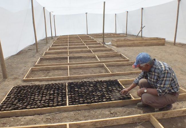 En vivero comunidad agrícola de Combarbalá reproducirá especies nativas