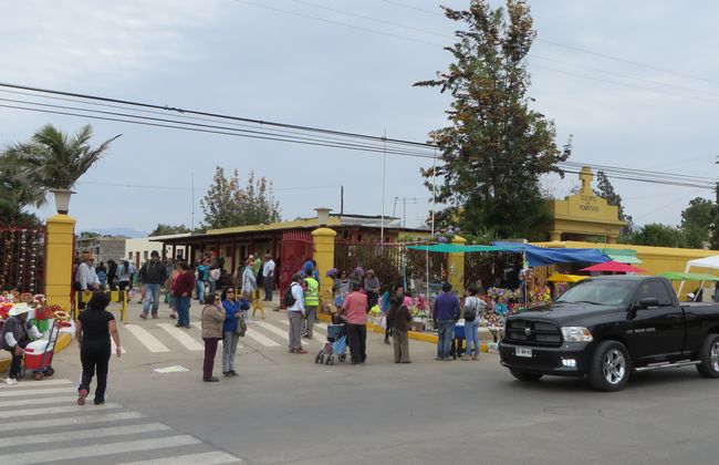 Miles de personas llegaron al cementerio de Ovalle a visitar a sus seres queridos difuntos