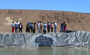 14-02-2015 riego asociativo Los Copihues1