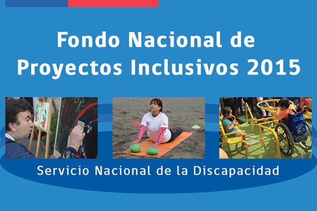 Senadis ofrece jornada informativa sobre fondos concursables