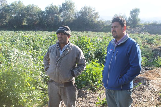 Autoridades evalúan daños provocados por heladas en provincia de Limarí