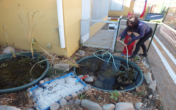 Con sistema de biofiltro, estudiantes reutilizan aguas grises y combaten la sequía
