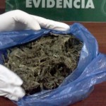 05 – 07 – 15 marihuana