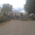 08-08-2015 caída de árbol en Samo Bajo