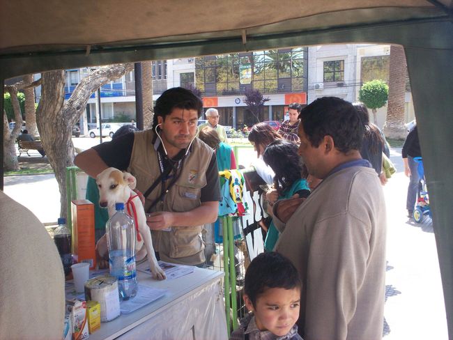 El mejor amigo del niño también estará el domingo en la Plaza