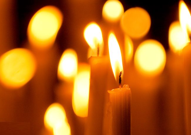 Convocan a Velatón para protestar por masiva muerte de perros en Ovalle