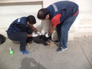 14 - 09 - 15 VACUNACION.jpg 2