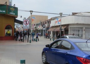 14 - 09 - 15 paseo peatonal