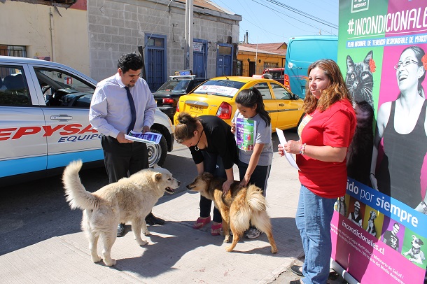 Llaman a comunidad a participar de exposición sobre tenencia responsable de mascotas