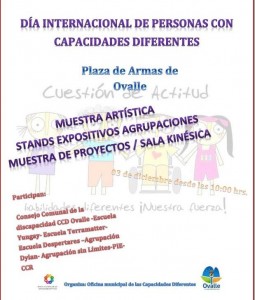 02 - 12 - 15 dia de la capacidad diferente 2