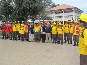 10 - 12 - 15 brigada conaf 2