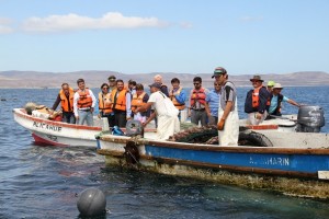 09-01-2016 productores de ostión2