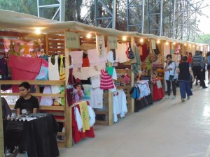 23 - 01 - 16 feria de rio hurtado 3