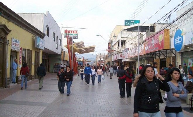 Municipio de Ovalle llama a pagar patentes comerciales y de alcoholes