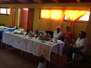 31-01-2016 fiesta del queso de Chalinga