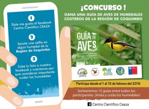 Afiche seminario CC