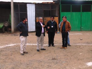 08 - 03 - 16 feria modelo 2