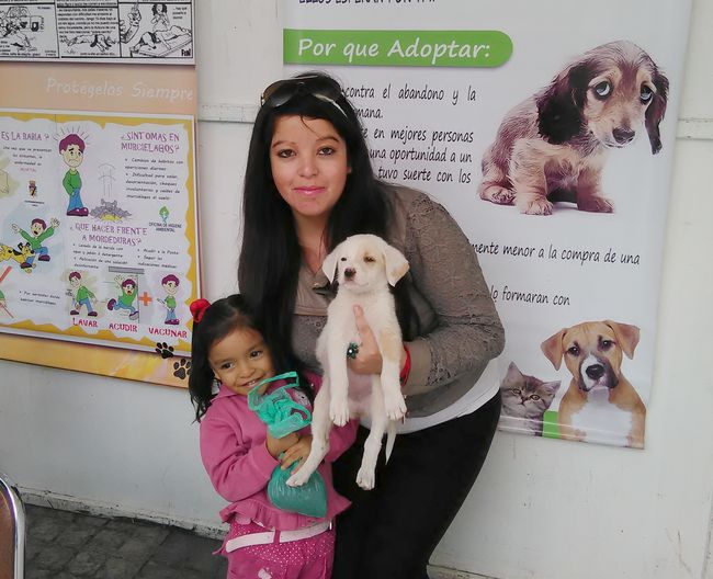 ¿Quiere adoptar una mascota? Vaya el sábado a la plaza de Armas