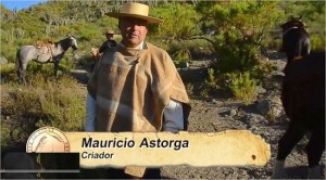 29 - 03 - sello de raza