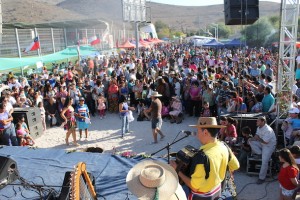 Miles de personas participaron en la primera Fiesta de la Vendimia realizada el año pasado (Foto: Cedida)