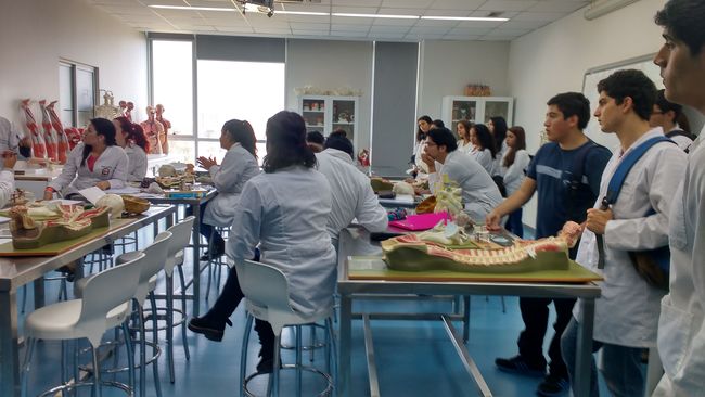 Alumnos del CAE vivieron “Un día como Universitarios”