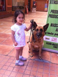 "Que los perritos la reciban en el cielo".