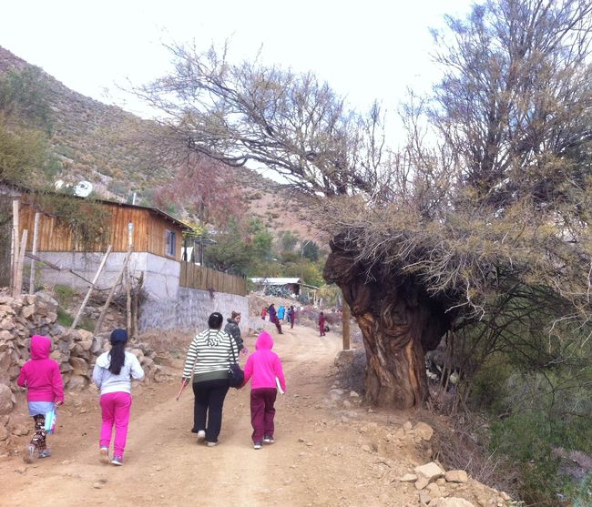 Estudiantes limarinos descubren los secretos de la precordillera