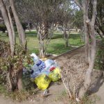 07 – 07 – 16 plaza profesores