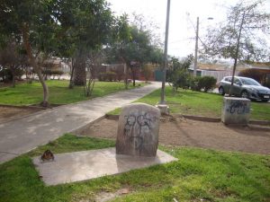 Estructuras con rayados groseros y pitados.