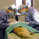 13 – 07- 16 esterilizacion