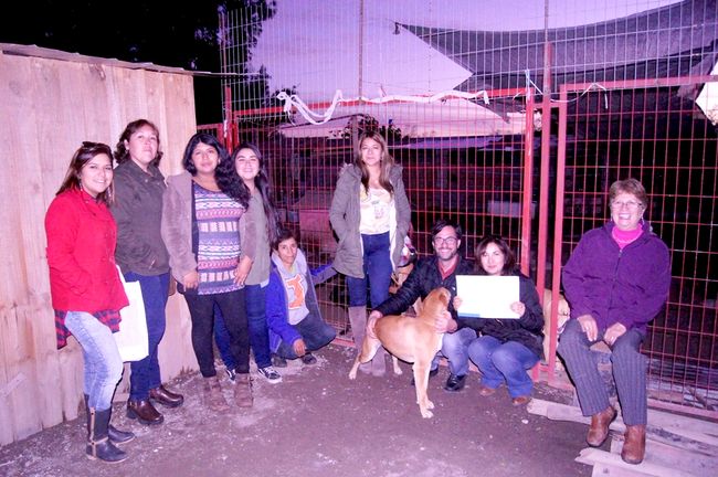 “Cachupines” ovallinos ahora tendrán nuevo hogar