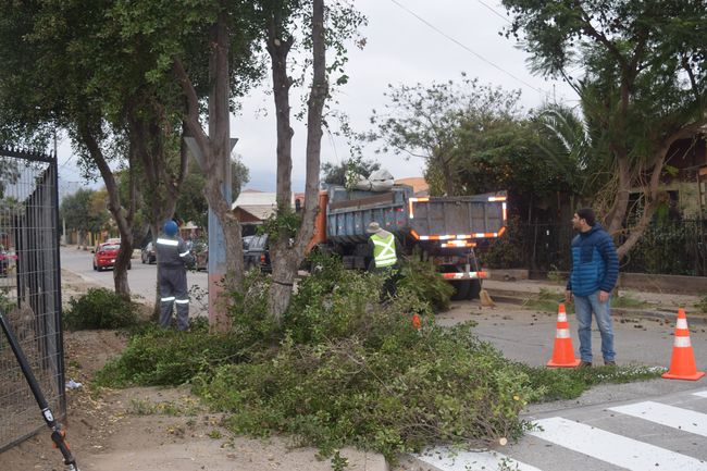 Municipio de Ovalle realizará operativo de limpieza en sector céntrico de la ciudad