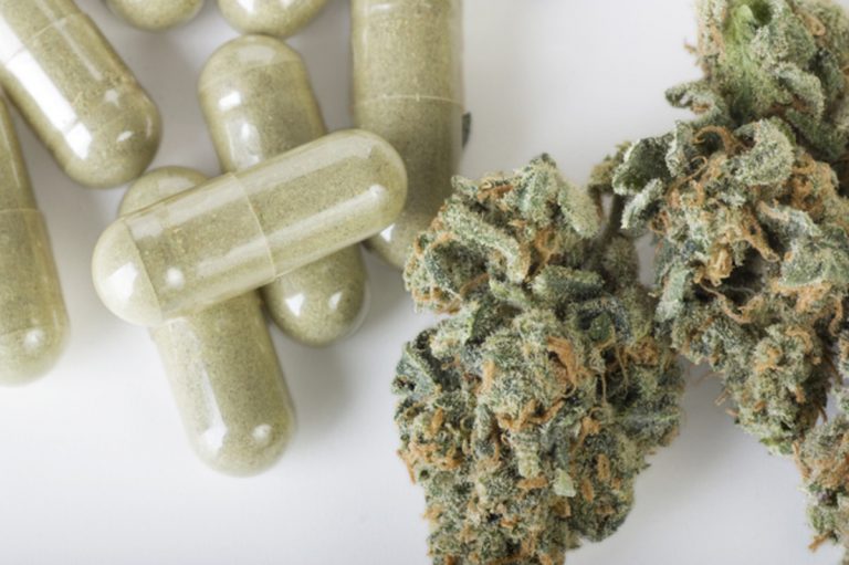 Concejal propone entregar en Farmacia Municipal y Consultorios medicamentos a base de cannabis