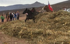 05-08-2016 Día de la familia campesina Río Hurtado 02