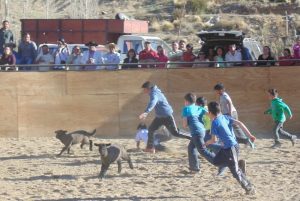10 - 08 - 16 D. CAMPESINO 2