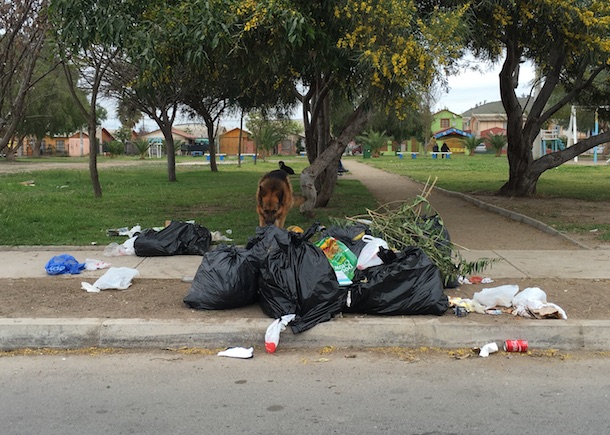 Vecinos de sector El Portal se quedaron con la basura en sus puertas