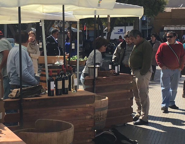En Ovalle celebraron el Día Nacional del Vino