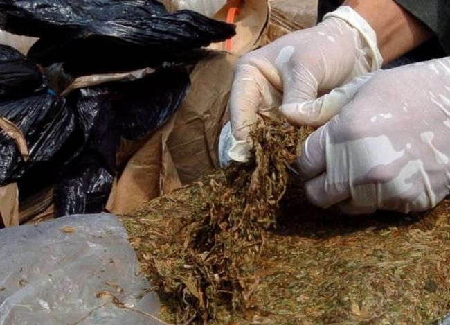 Tribunal de Ovalle condena a 5 años a sujeto sorprendido con casi 200 kgs de marihuana
