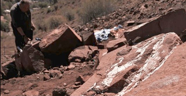 Hallazgo de fósiles serán dados a conocer hoy en Seminario Paleontológico de Río Hurtado