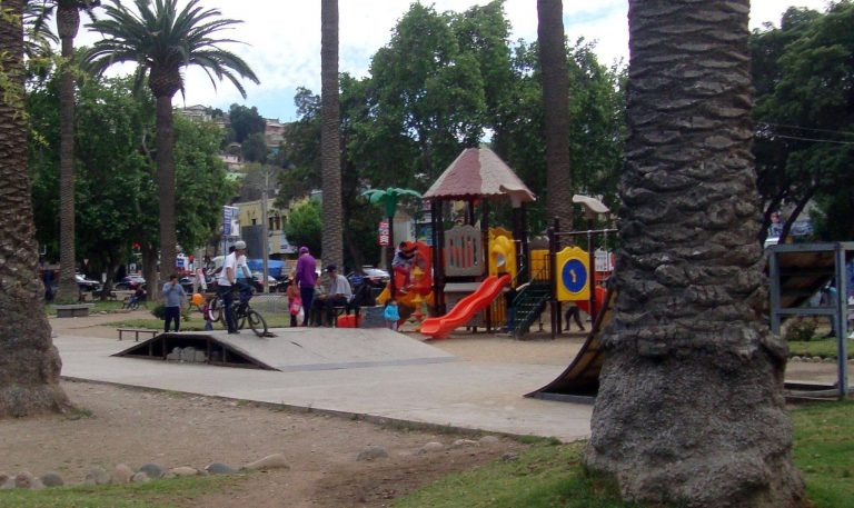 Skate Park de la Alameda podría ser trasladado a otro sector de la ciudad