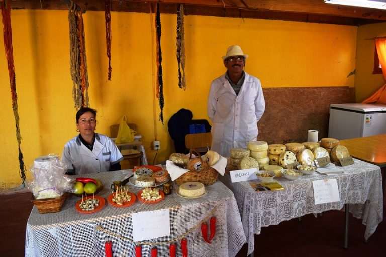 Chalinga nuevamente celebra Fiesta del Queso de Cabra  