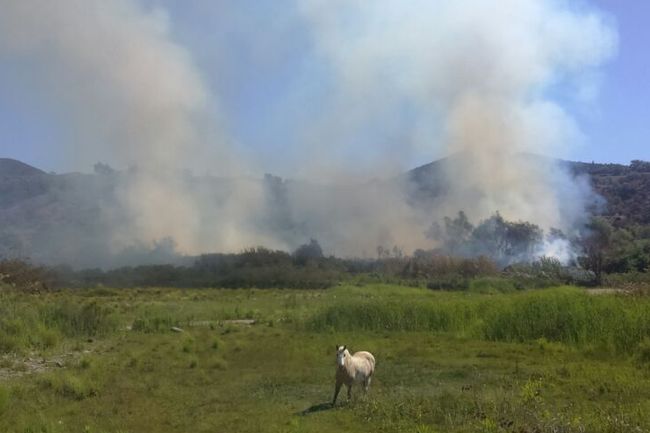 Evacúan campamento gitano en riesgo por incendio forestal en Santa Catalina