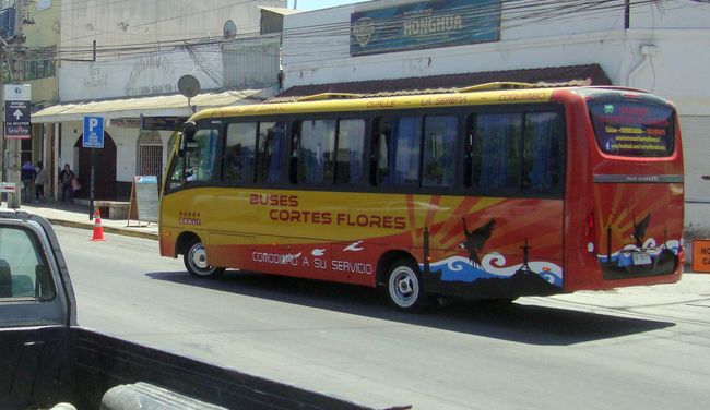 El anterior paradero. Observe que los letreros aún permanecen en el lugar delante del bus estacionado.
