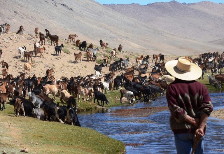 Crianceros podrán comunicarse durante las veranadas gracias a kit solar