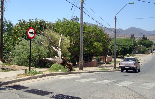 Observen la entrada del Colegio Fray Jorge, a pocos metros del lugar.