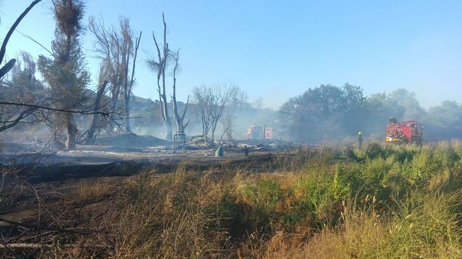 Incendio de pastizales se extiende y destruye una vivienda