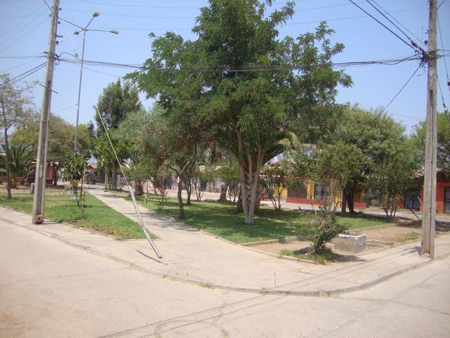 Vecinos de plazoleta de población de profesores decidieron cortar por lo sano