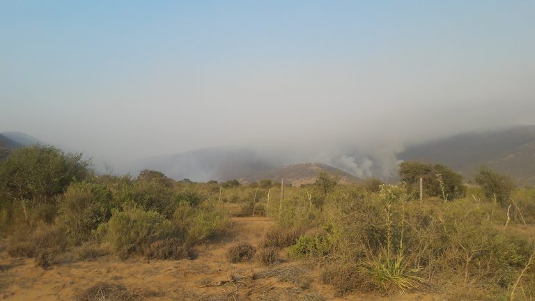 Onemi decreta Alerta Roja para comuna de Los Vilos