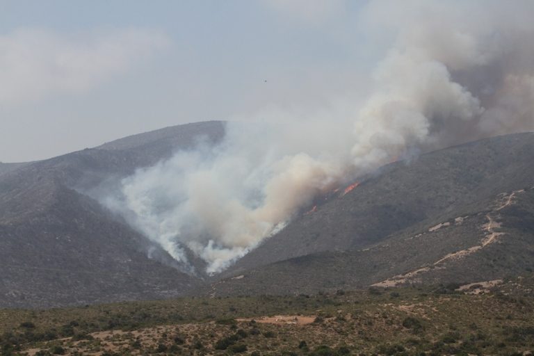 1200 hectáreas ha consumido incendio forestal en Los Vilos  