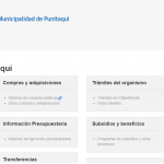 Punitaqui
